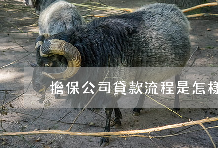 擔保公司貸款流程是怎樣的（注意事項）