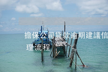 擔保公司貸款逾期建議(信用擔保貸款逾期處理流程)