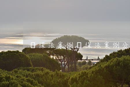 擔保法案例(擔保法案例分析及答案及條款)