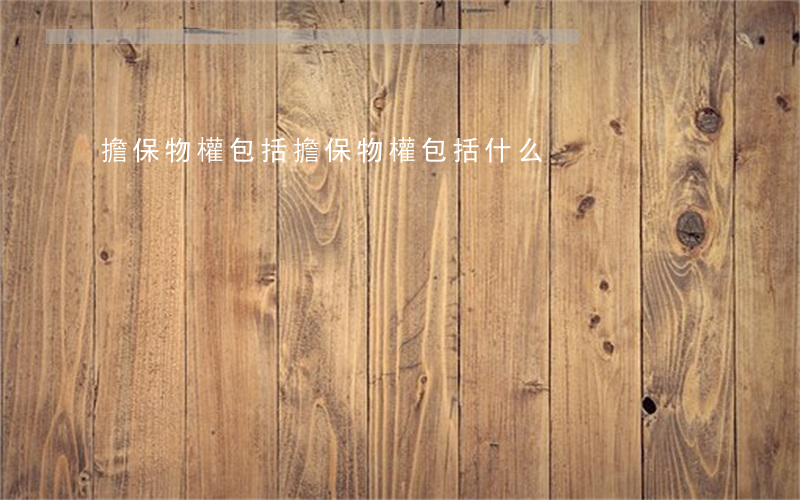擔保物權包括(擔保物權包括什么)