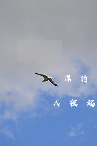 擔保的車貸逾期被起訴怎么辦 車貸逾期擔保人被起訴