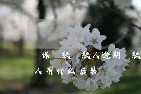 擔保貸款貸款人逾期(貸款人逾期還款對擔保人有什么后果)