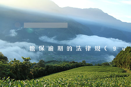 擔保逾期的法律規(guī)定(擔保人逾期)