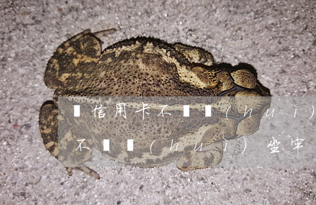 擼信用卡不還會(huì)坐牢嗎(刷信用卡不還會(huì)坐牢嗎)