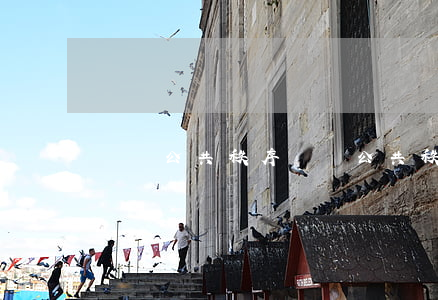 擾亂公共秩序(擾亂公共秩序怎么處罰)