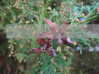 擾亂公共秩序(擾亂公共秩序治安處罰)