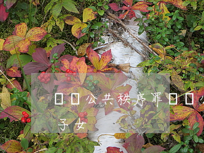 擾亂公共秩序罪(擾亂公共秩序罪會不會影響子女)