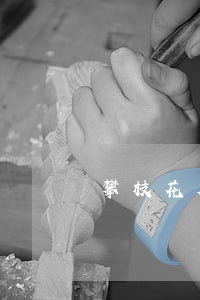 攀枝花欠網(wǎng)貸(攀枝花貸款中介)
