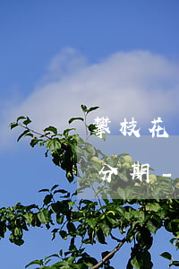 攀枝花網(wǎng)貸逾期退息退保二次分期-網(wǎng)貸退息退保是什么意思