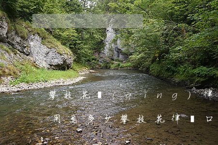 攀枝花請(qǐng)律師的費(fèi)用是多少(攀枝花律師口碑最好)