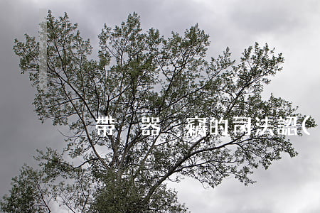 “攜帶兇器盜竊”的司法認(rèn)定