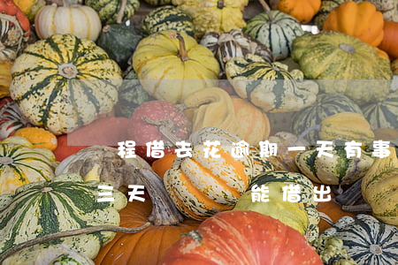 攜程借去花逾期一天有事嗎(攜程借去花逾期三天歸還 還能借出嗎)