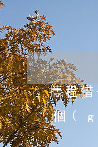 攜程借去花逾期不能還款(攜程借去花逾期一個(gè)月說要聯(lián)系我家里人)