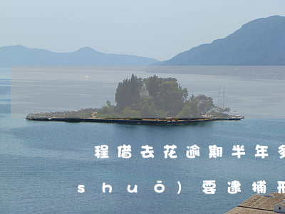 攜程借去花逾期半年多發(fā)信息說(shuō)要逮捕刑拘是真的嗎（攜程借去花逾期怎么協(xié)商還款）