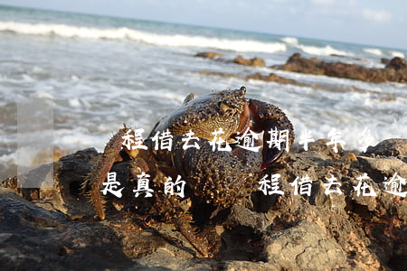 攜程借去花逾期半年多發信息說要逮捕刑拘是真的嗎（攜程借去花逾期怎么協商還款）