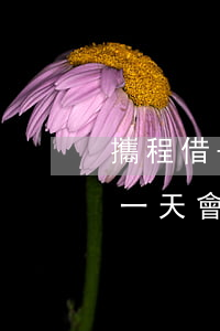 攜程借去花逾期多久爆通訊(攜程借去花逾期一天會有什么后果?)