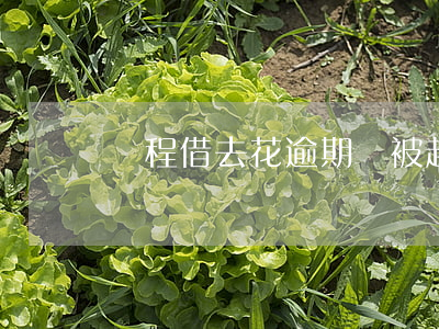 攜程借去花逾期會被起訴(攜程借去花是否起訴)