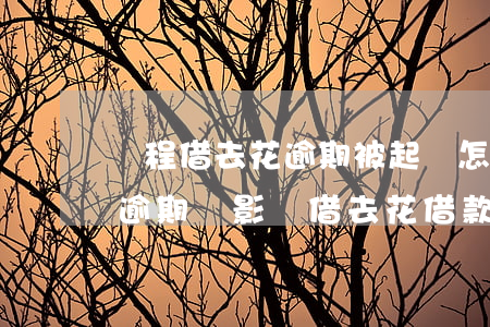 攜程借去花逾期被起訴怎么辦-攜程拿去花逾期會影響借去花借款嗎?