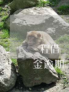 攜程借現金逾期多久會爆通訊錄-攜程借現金逾期一個月,客服說要上門
