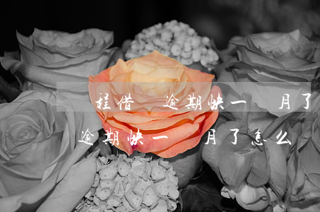 攜程借錢逾期快一個月了怎么辦-攜程借錢逾期快一個月了怎么辦呢