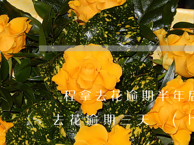 攜程拿去花逾期半年后有什么后果-攜程拿去花逾期三天會(huì)有什么后果?