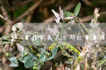 攜程拿去花逾期起訴(攜程拿去花短信起訴)