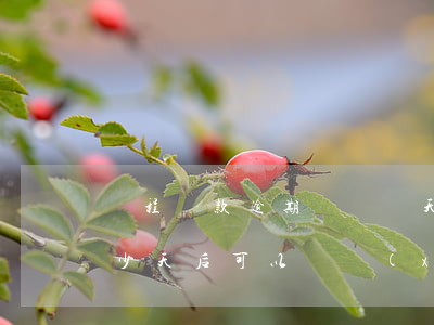 攜程貸款逾期遲還幾天(攜程金融逾期一天多少天后可以繼續(xù)借)