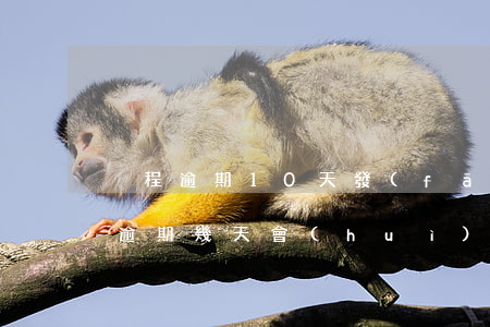 攜程逾期10天發(fā)律師函(攜程金融逾期幾天會(huì)打電話聯(lián)系本人)
