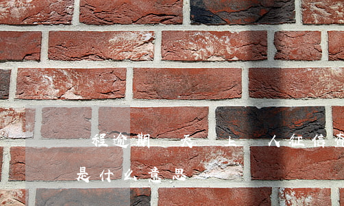 攜程逾期幾天會上個人征信查詢-攜程逾期是什么意思