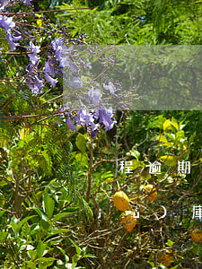 攜程逾期會不會上報百行數(shù)據(jù)庫-攜程逾期會不會上報百行數(shù)據(jù)庫征信
