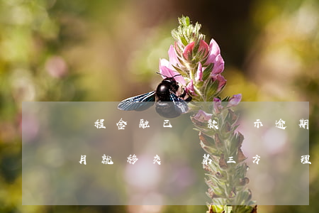 攜程金融已還款顯示逾期(攜程金融逾期一個月就移交給第三方處理是什么意思)