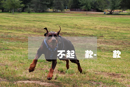 攬勝還不起貸款-貸款買路虎攬勝