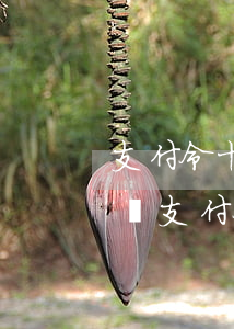 支付令十五天后沒錢還會(huì)被拘留嗎(支付令十五天后沒錢還怎么辦)