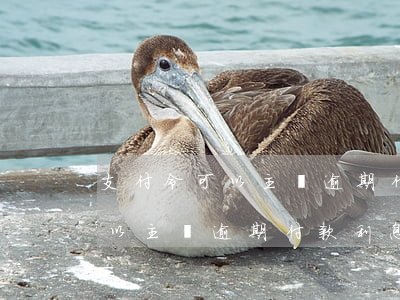 支付令可以主張逾期付款利息嗎-支付令可以主張逾期付款利息嗎合法嗎