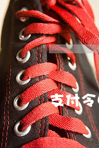 支付令申請(qǐng)書范文