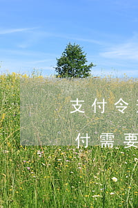 支付令逾期未付需要賠償金嗎 支付令逾期未付需要賠償金嗎