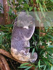 支付令金額和網(wǎng)貸還款金額不符-支付令金額和網(wǎng)貸還款金額不符怎么辦