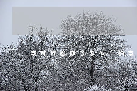 支付分逾期了怎么還的(支付分可以逾期多久)
