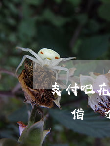 支付吧花唄借唄逾期怎么協商還款 支付吧花唄借唄逾期怎么協商還款