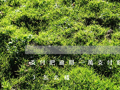 支付吧逾期一萬 支付吧逾期一萬會(huì)怎么樣