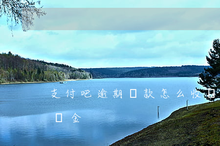 支付吧逾期還款怎么收違約金(逾期付款的違約金)