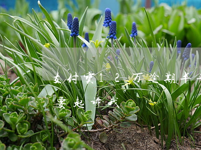 支付宝12万逾期半年(支付宝逾期12万多要起诉我)