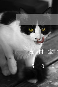 支付宝1600逾期150多天(支付宝逾期5000多两年)