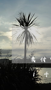 支付宝1千元逾期一年利息多少钱-支付宝1千元逾期一年利息多少钱啊