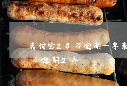 支付宝20万逾期一年亲身经历(支付宝10万逾期2年)