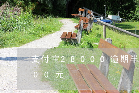 支付宝28000逾期半年(支付宝逾期2500元)