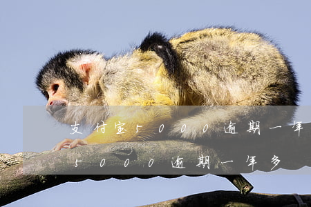 支付宝5000逾期一年亲身经历-支付宝5000逾期一年多