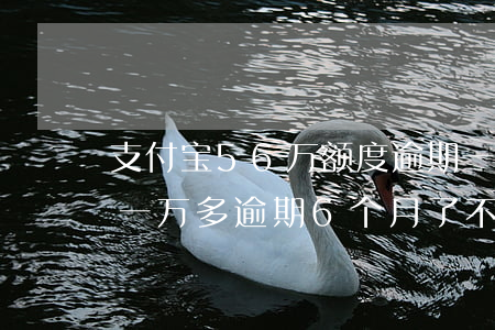 支付宝56万额度逾期一天还清(支付宝欠了一万多,逾期6个月了,不还会怎样)