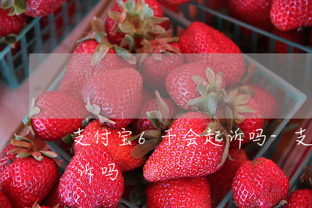 支付宝6千会起诉吗-支付宝欠六千多会起诉吗