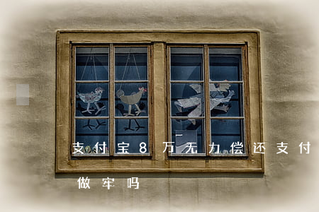 支付宝8万无力偿还(支付宝欠八万还不起会做牢吗)